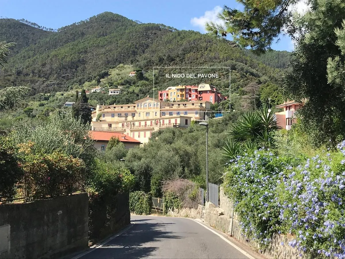 Il Nido Del Pavone Apartment Monterosso al Mare